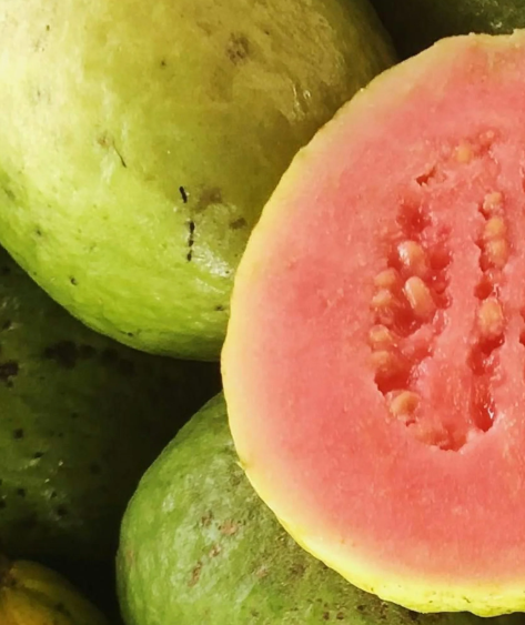 Odyssey - Fruit de la Passion et Goyave