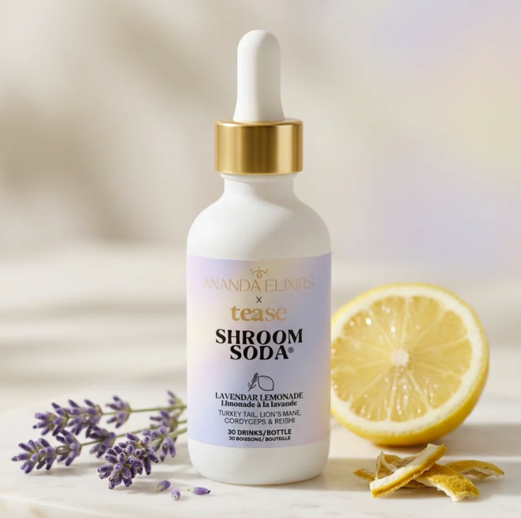 Shroom Soda - Lavender Lemonade