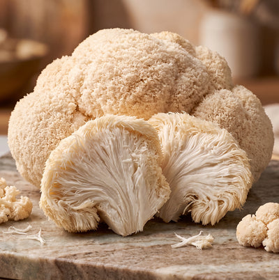 Lion's mane