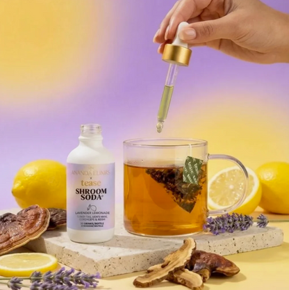 Shroom Soda - Lavender Lemonade