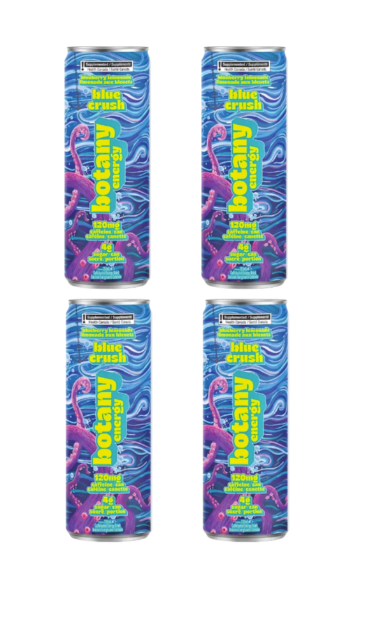 Collective Arts Botany Energy Blue Crush - Blue Lemonade