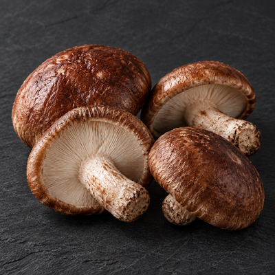 Shiitake